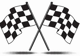 Image result for NASCAR Car Flags