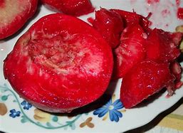Image result for Red Flesh Peach