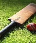 Image result for Bluey Cricket Back Yard