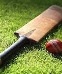 Image result for Cricket