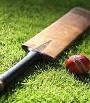 Image result for Cricket Team Bag