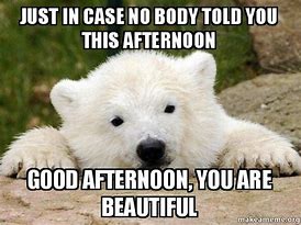 Image result for Good Afternoon Pagan Memes