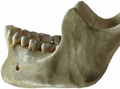 Image result for Cain's Jawbone