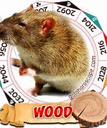 Image result for Wood Rat Chinese Zodiac