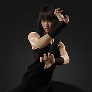 Image result for Hung Gar Kung Fu Poses