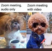 Image result for Conference Call MEME Funny