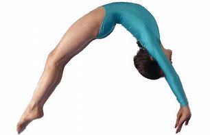 Image result for Back Flip Gymnast