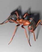 Image result for Ant 3D Model