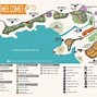 Image result for Dnd Campsite Map