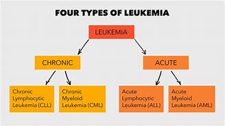 Image result for What Is Leukemia