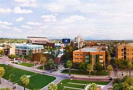 Image result for UA University of Arizona