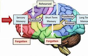 Image result for A Concept Map for Primary Memory