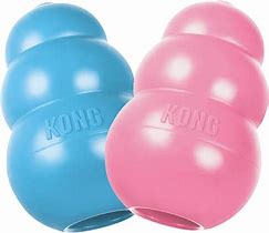 Image result for Kong Puppy Toy