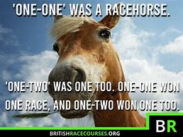 Image result for Shoot the Race Horse Funny
