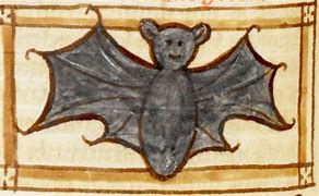 Image result for Medieval Bat Drawing