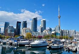 Image result for Live in Toronto