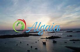 Image result for algaya