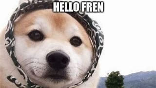 Image result for Fren Doggo Meme