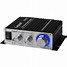 Image result for Class D Mini Amp