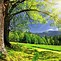 Image result for Sunny Landscape Wallpaper