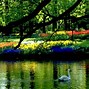 Image result for Spring Scenes Desktop