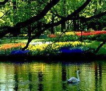 Image result for Free Spring Screensavers