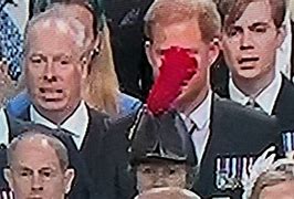 Image result for Prince Harry Hidden by Anne's Hat