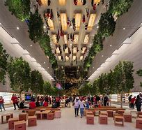 Image result for Apple Store the Grove