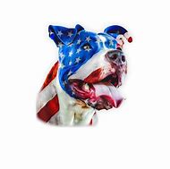 Image result for Pit Bull American Flag Images