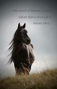 Image result for Wild Horse Quotes