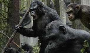 Image result for Ape Trying to Survive