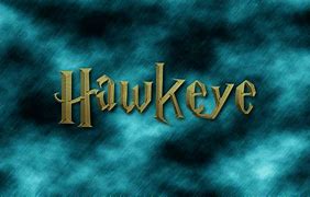 Image result for Hawkeye Logo