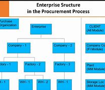 Image result for SAP Enterprise Structure Diagram