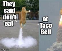 Image result for Taco Bell Cat Meme
