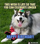 Image result for Work Cat Happy Birthday Memes