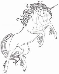 Image result for Real Pretty Unicorns