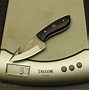 Image result for Skinning and Gutting Knives