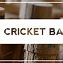 Image result for Cricket Bat Profiles
