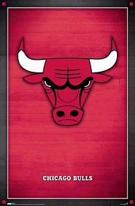 Image result for Bulls Poster