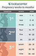 Image result for How to Calculate Gestational Age in Weeks