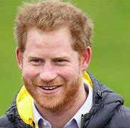 Image result for Prince Harry Facts