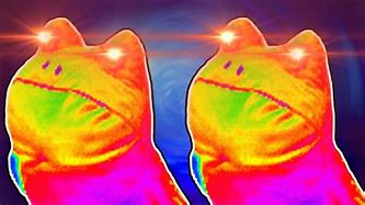 Image result for Rainbow Frog Meme