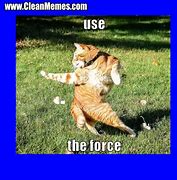 Image result for Centripetal Force Meme