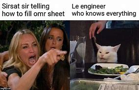 Image result for Woman vs Cat Engineer Meme