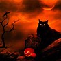 Image result for Halloween Cats Screensavers