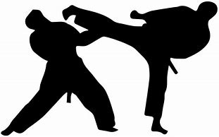 Image result for Taekwondo Sparring Silhouette