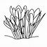 Image result for Doodle Clip Art Black and White Spring Flowers