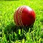 Image result for Cricket Pitch Wallpaper