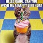 Image result for Happy Birthday Meme Cat Lover