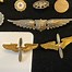 Image result for Insignia Pins